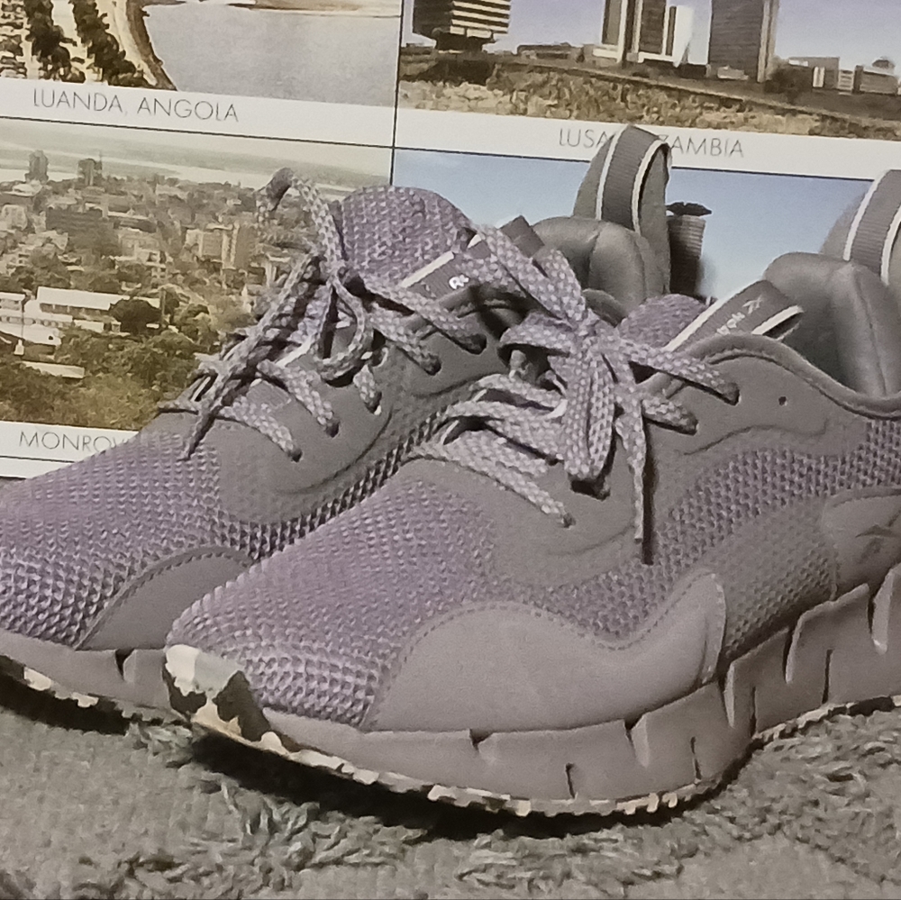 Reebok Zig Dynamica